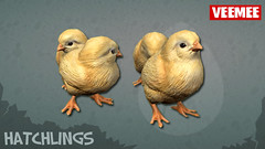Hatchlings_Batch01_Chicks_2013-09-25_684x384