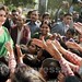 Priyanka Gandhi visits Raebareli, interacts with people 16