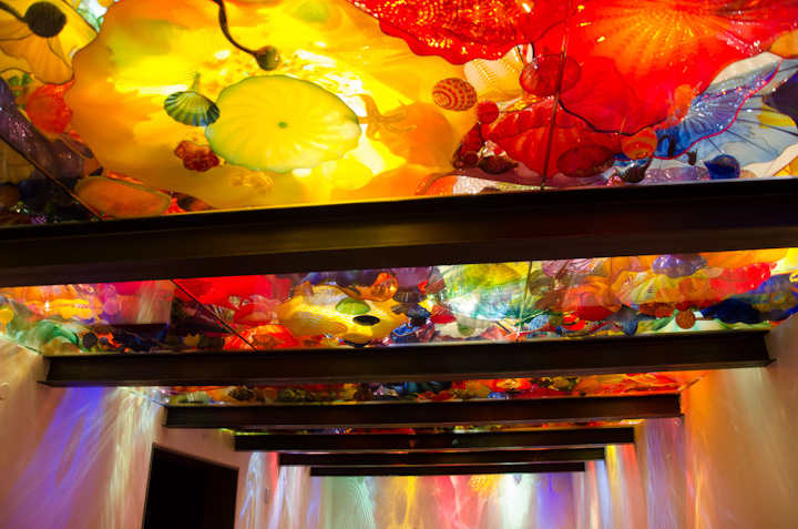 Chihuly Garden and Glass 2