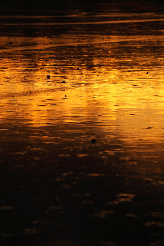 諏訪湖、冬の夕景