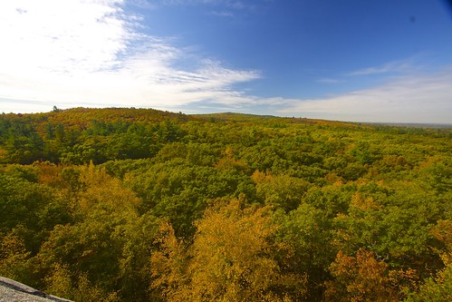 Fall colors in The Blue Hills Reservation. by B.MacLean
