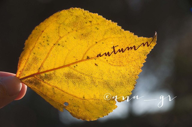 welcome, Autumn