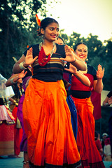 Diwali Fest 2013