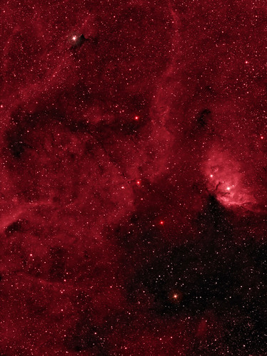 Sh2-101 The Tulip Nebula, Cygnus Star Cloud by Mick Hyde