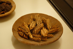 Grain From a Tomb