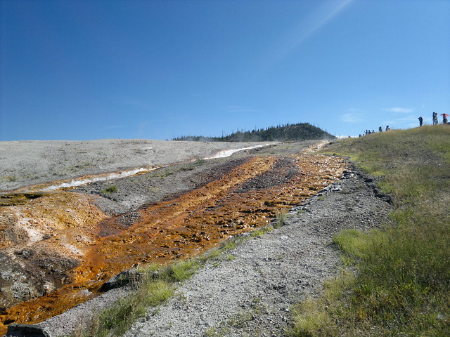 Martes Día 23 de Julio: Yellowstone (II) - 25 días por los parques nacionales del Oeste de USA: un Road Trip de 10500 kms (80)