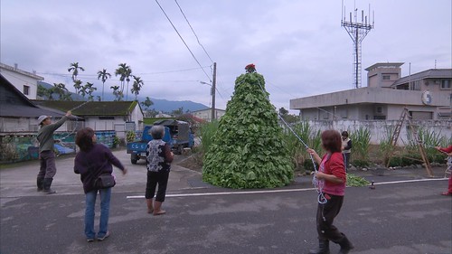 芥菜聖誕樹。