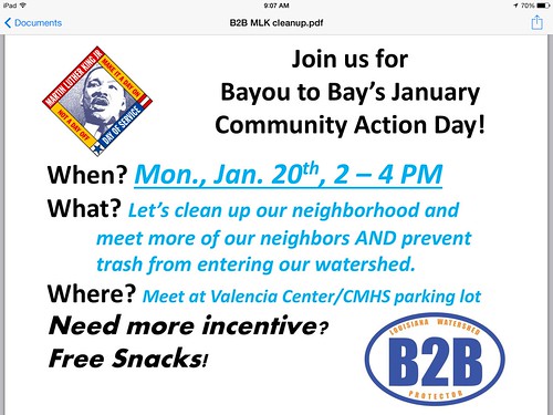 B2B Volunteer Clean-up, MLK Day by trudeau