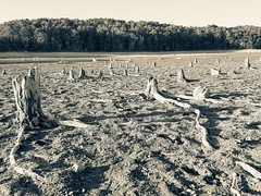 Lake Purdy 2016 Drought