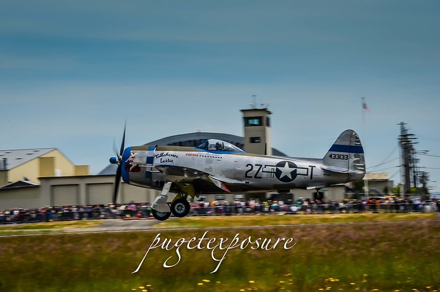HFC's P-47 Thunderbolt "Tallahassee Lassie"