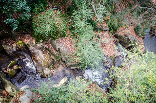 Pacolet Stream and Waterfalls