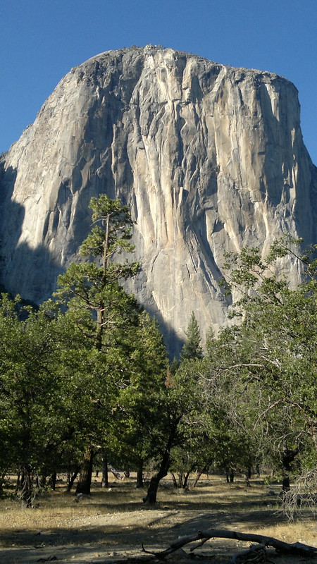 Jueves Día 11 de Julio: Mammoth Lakes - Yosemite (I) - 25 días por los parques nacionales del Oeste de USA: un Road Trip de 10500 kms (19)