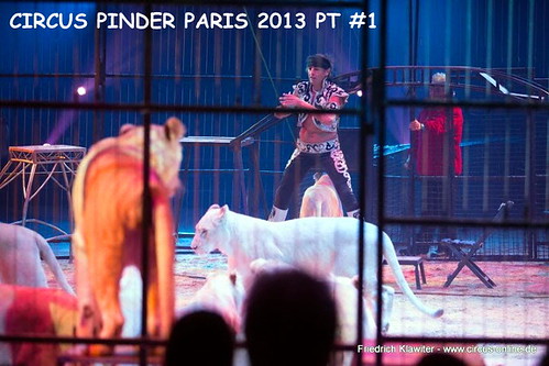 pinder paris 1213-062 (Small) by CIRCUS PHOTO CENTRAL
