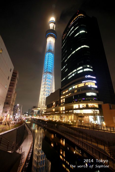 【2014日本】東京「晴空塔」（天空樹）夜景