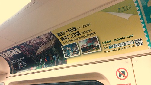 捷運車廂內的馬告春花季廣告，洪郁婷攝。