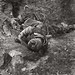 A German soldier who has been hit by an airplane dart. Sometimes planes dropped bomb packed wil doze