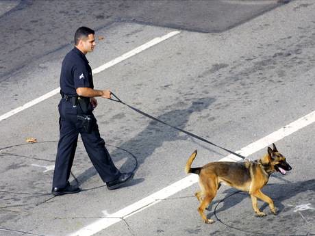A study indicates that Los Angeles police dogs only bit African Americans and Latinos. Both cops and dogs are racist in LA. by Pan-African News Wire File Photos