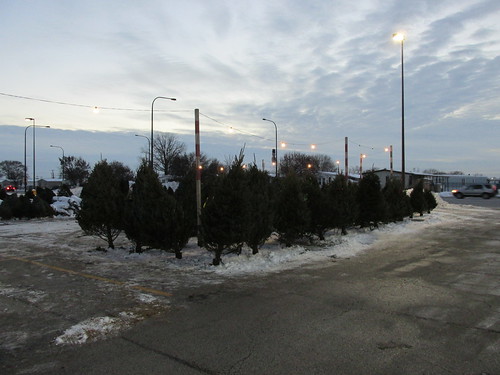 A seasonal outdoor live Christmas tree sales lot.  Bridgeview Illinois.  December 2013. by Eddie from Chicago