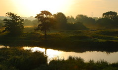 Dawn on the River Stour