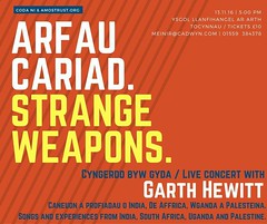 Strange weapons / Arfau cariad, Garth Hewitt