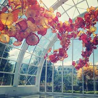 Chihuly never disappoints.