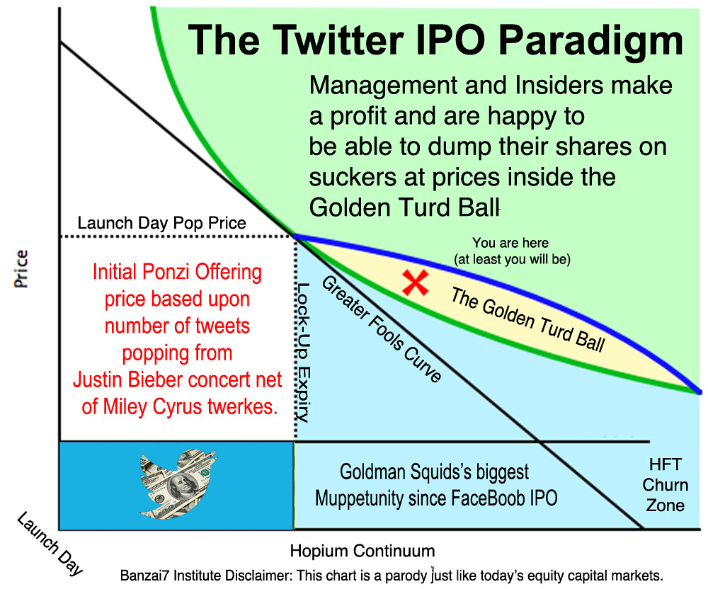 THE TWITTER IPO PARADIGM