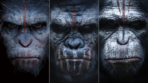 Dawn of The Planet of The Apes (2014)