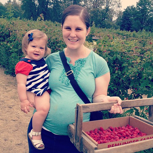 Raspberry picking! (Claire didn't appreciate having to work for her food...)