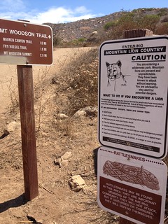 Mountain Lion AND Rattlesnake warning