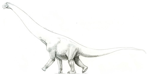 alamosaurus