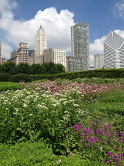 Chicago 2013