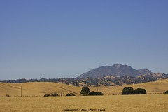 			Klaus Naujok posted a photo:	Mount Diablo. No construction this weekend, time for some nature photos.