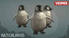 Hatchlings_Batch01_Penguins_2013-09-25_684x384