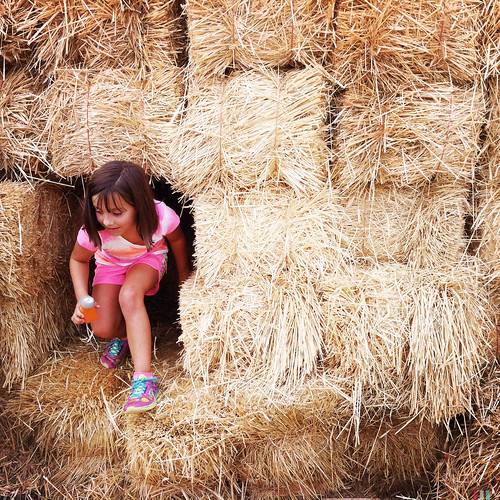 Exiting the hay maze.