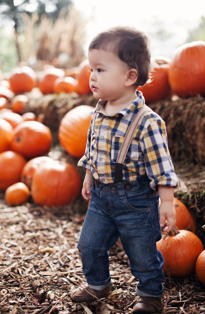 cute & little blog | dylan pumpkin village dallas arboretum 2013