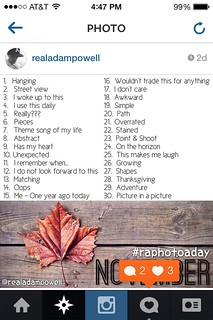 November 2013 RAPHOTOADAY Prompts