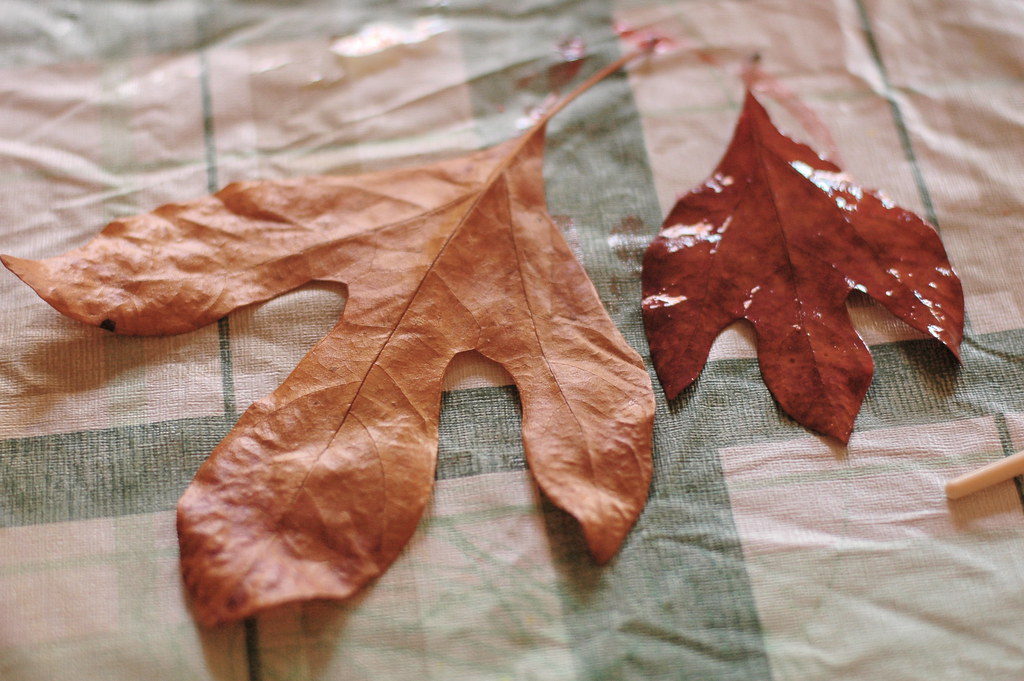 Sticks & Leaves: Painted Glycerin Experiments