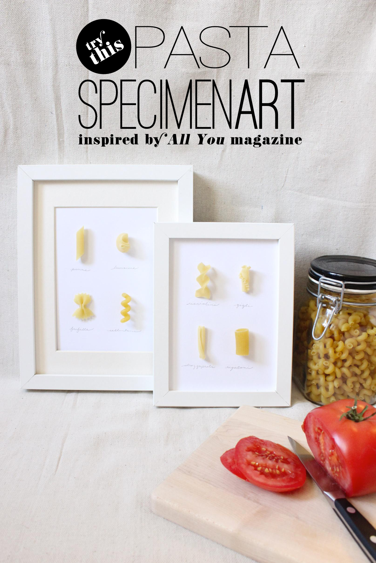 Fabric Paper Glue | DIY Pasta Specimen Art inspired by All You Magazine