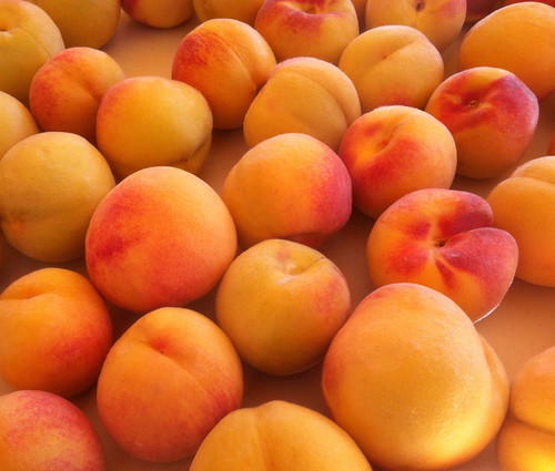 Eastern Peaches by randubnick