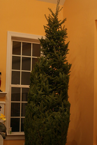 Christmas Tree 2013 (20)