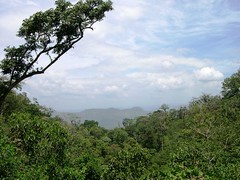 Chiapas 2004