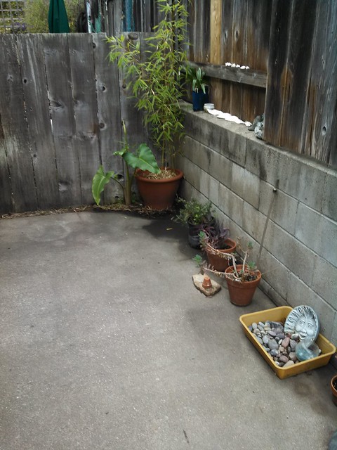 Other End of Patio