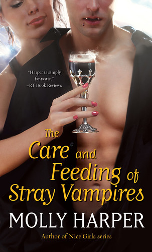 Book 1: THE CARE AND FEEDING OF STRAY VAMPIRES paperback