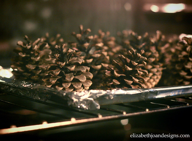 Pinecone Fire Starters 2