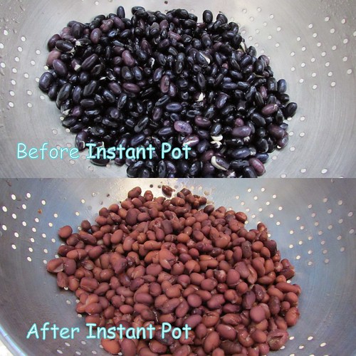 Product Testing: Instant Pot Take #1 - Black Beans