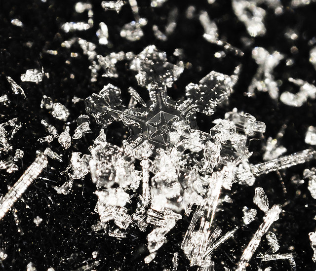 snowflake_platelet