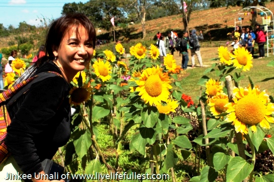 Paradizoo  - Floral, Vegeratable and Agri-Livestock Fair  by Jinkee Umali of www.livelifefullest.com