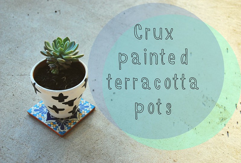 crux painted terracotta pots