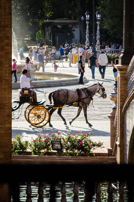 Taking a carriage ride at Sevilla's Plaza de España.