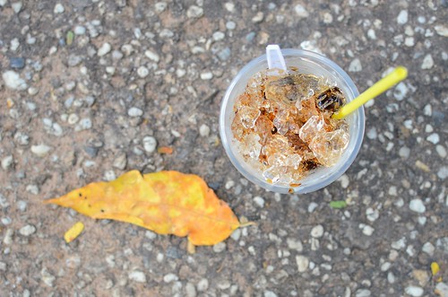 leaf, iced coffee